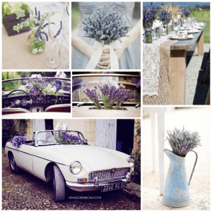wedding-provence-lavender-1
